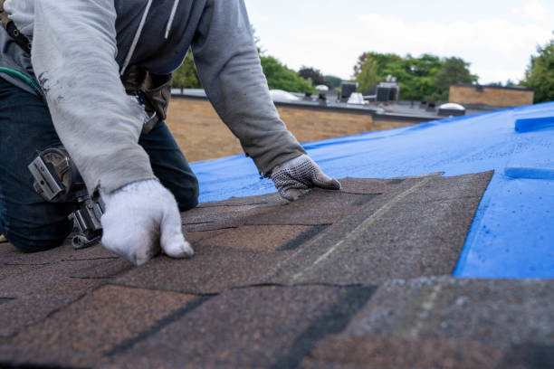 Best Roof Waterproofing Services  in Mion, AR