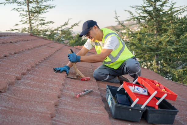 Best Roof Gutter Cleaning  in Mion, AR