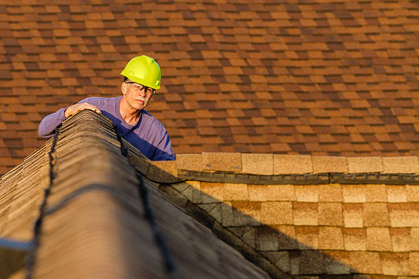 Best Local Roofing Companies  in Mion, AR