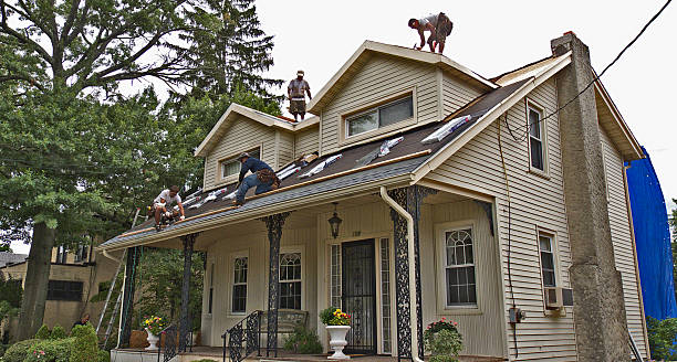 Best Shingle Roofing Installation  in Mion, AR